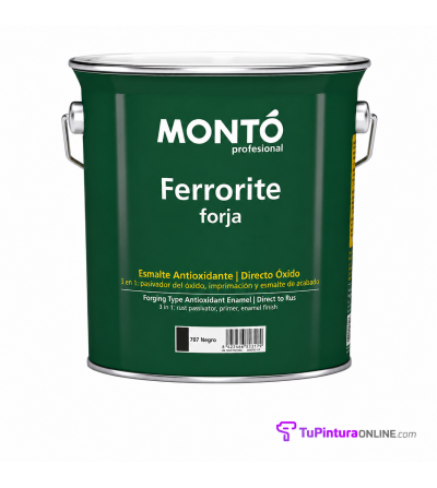 Ferrorite Forja de Montó